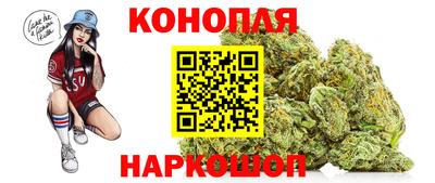 гидропоника Заводоуковск