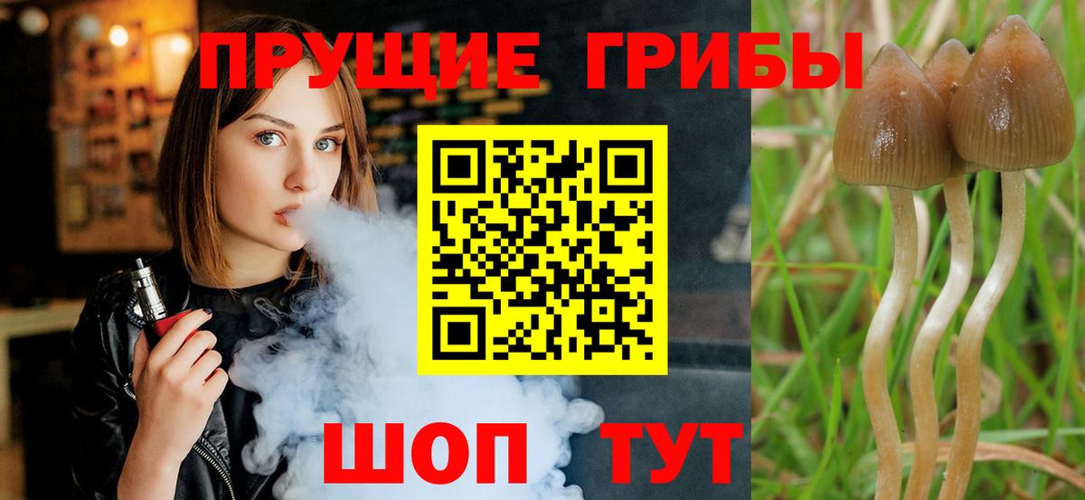 Кунгур  Псилоцибиновые грибы мухоморы  Вход с VPN  Галлюциногенные грибы Cubensis 